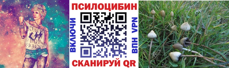 Галлюциногенные грибы Cubensis  Владимир 