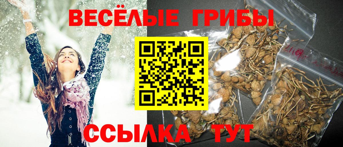 Псилоцибиновые грибы мицелий  Галлюциногенные грибы Cubensis  Владимир  Вход с VPN 